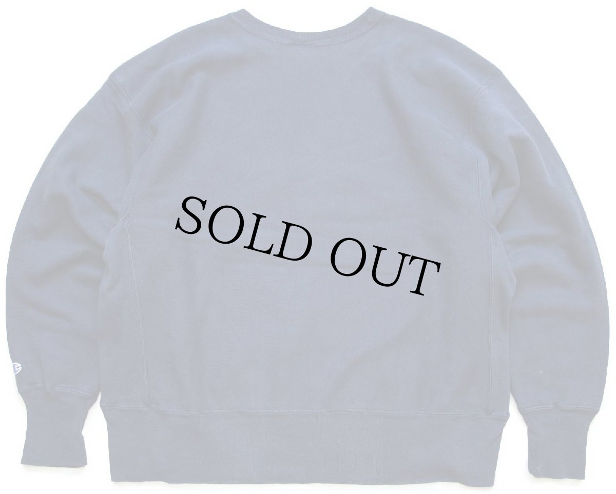 画像2: 00s メキシコ製 Championチャンピオン FARMINGTON ひび割れプリント リバースウィーブ スウェット 紺 XL (2)