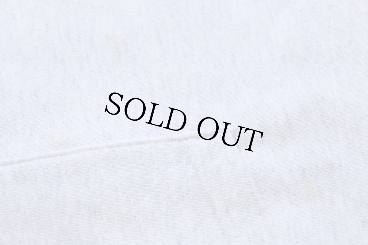 画像5: 00s メキシコ製 Championチャンピオン BRANDEIS リバースウィーブ スウェットパーカー 杢ライトグレー M (5)