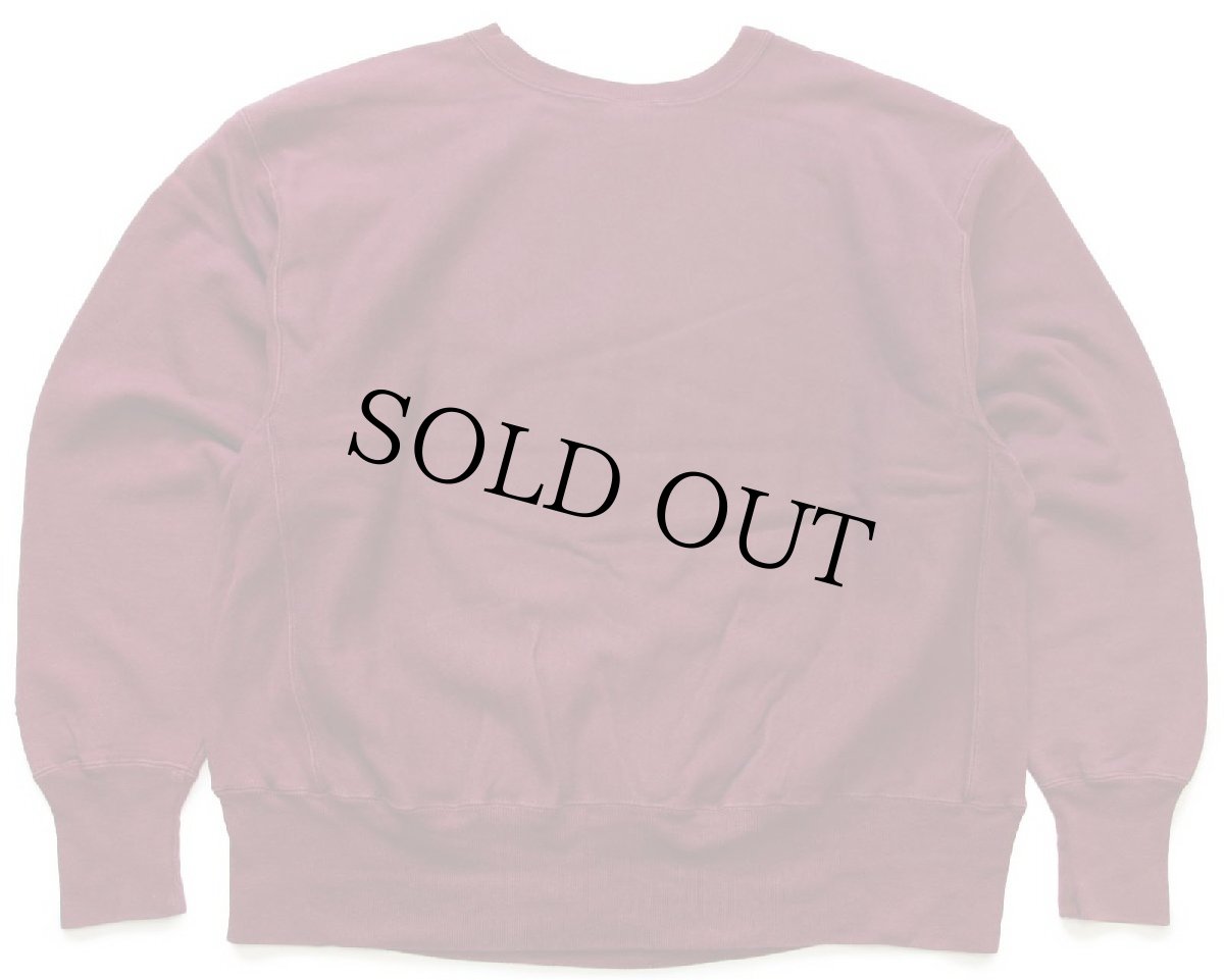 画像2: 00s Championチャンピオン MINNESOTA GOPHERS マスコット刺繍 リバースウィーブ スウェット バーガンディ XL (2)