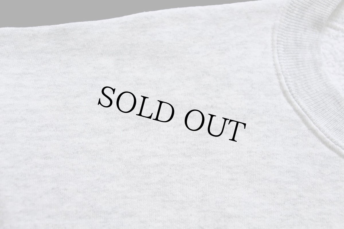 画像5: 90s USA製 RUSSELLラッセル MICHIGAN STATE 胸&袖プリント 前V スウェット 杢ライトグレー XXL★特大 (5)