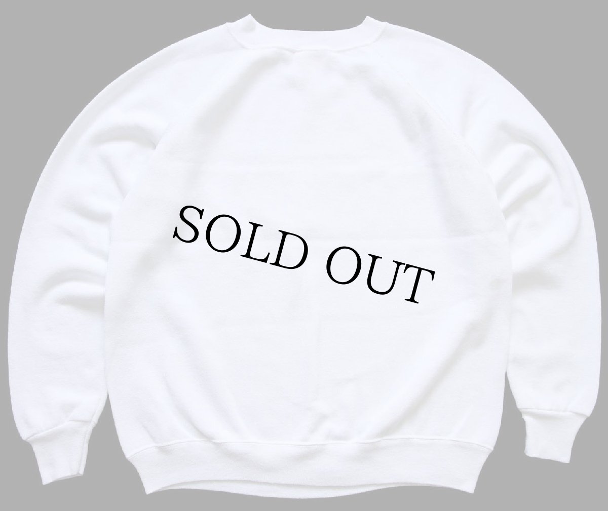 画像2: 90s USA製 Hanes SPORT 無地 スウェット 白 L★ブランク (2)