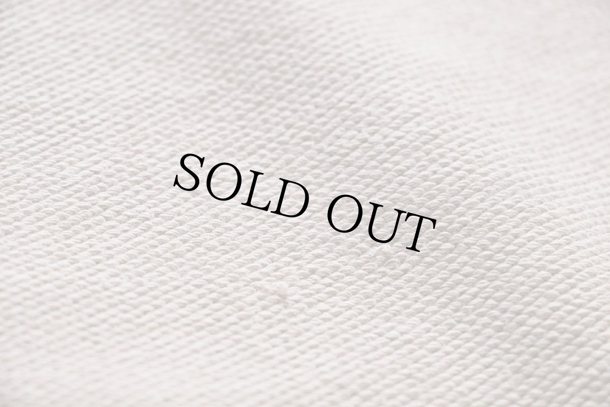 画像5: 00s LANDS'ENDランズエンド 無地 前V ストレッチ 鹿の子 スウェット グレーベージュ L★ブランク (5)