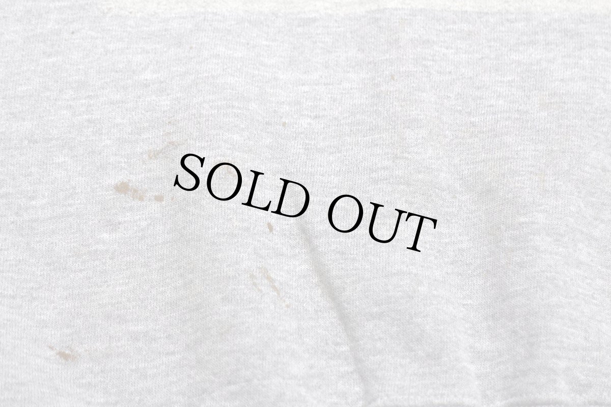 画像6: 90s RUSSELLラッセル かいじゅうたちのいるところ 両面プリント ペンキ飛び 前V スウェット 杢グレー (6)