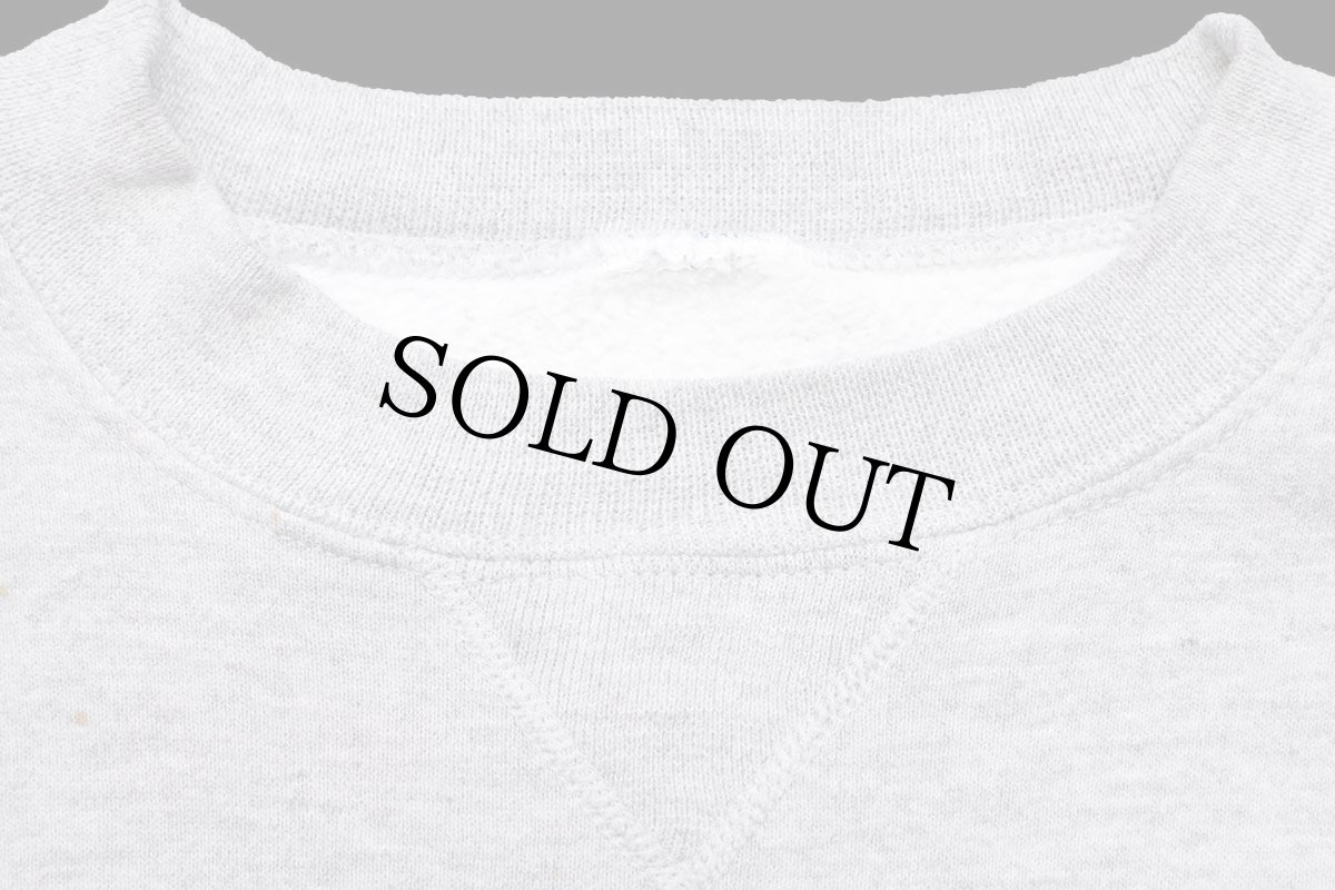 画像5: 90s RUSSELLラッセル かいじゅうたちのいるところ 両面プリント ペンキ飛び 前V スウェット 杢グレー (5)