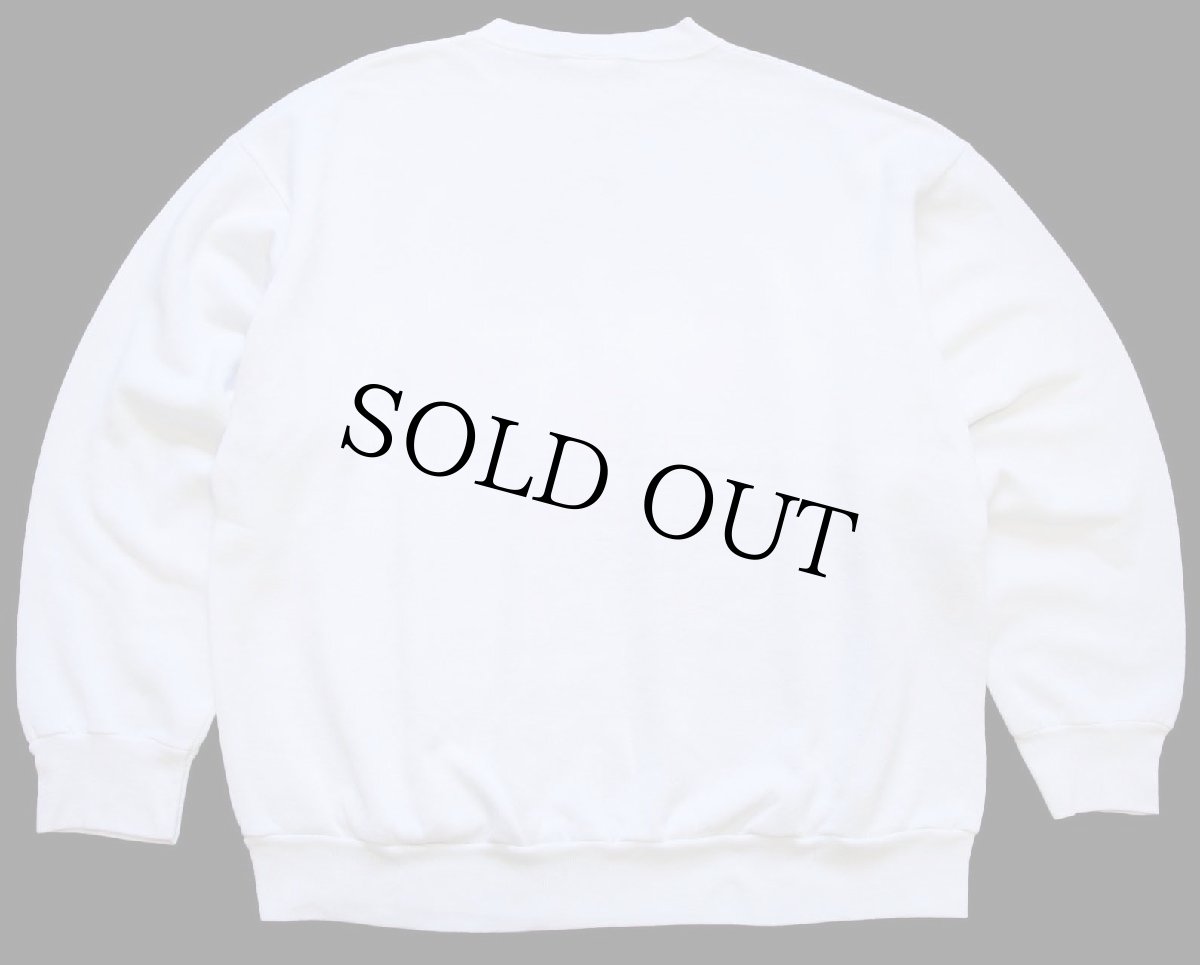 画像2: 90s USA製 Warner Bros LOONEY TUNES タズマニアンデビル HUSKERS スウェット 白 XL (2)