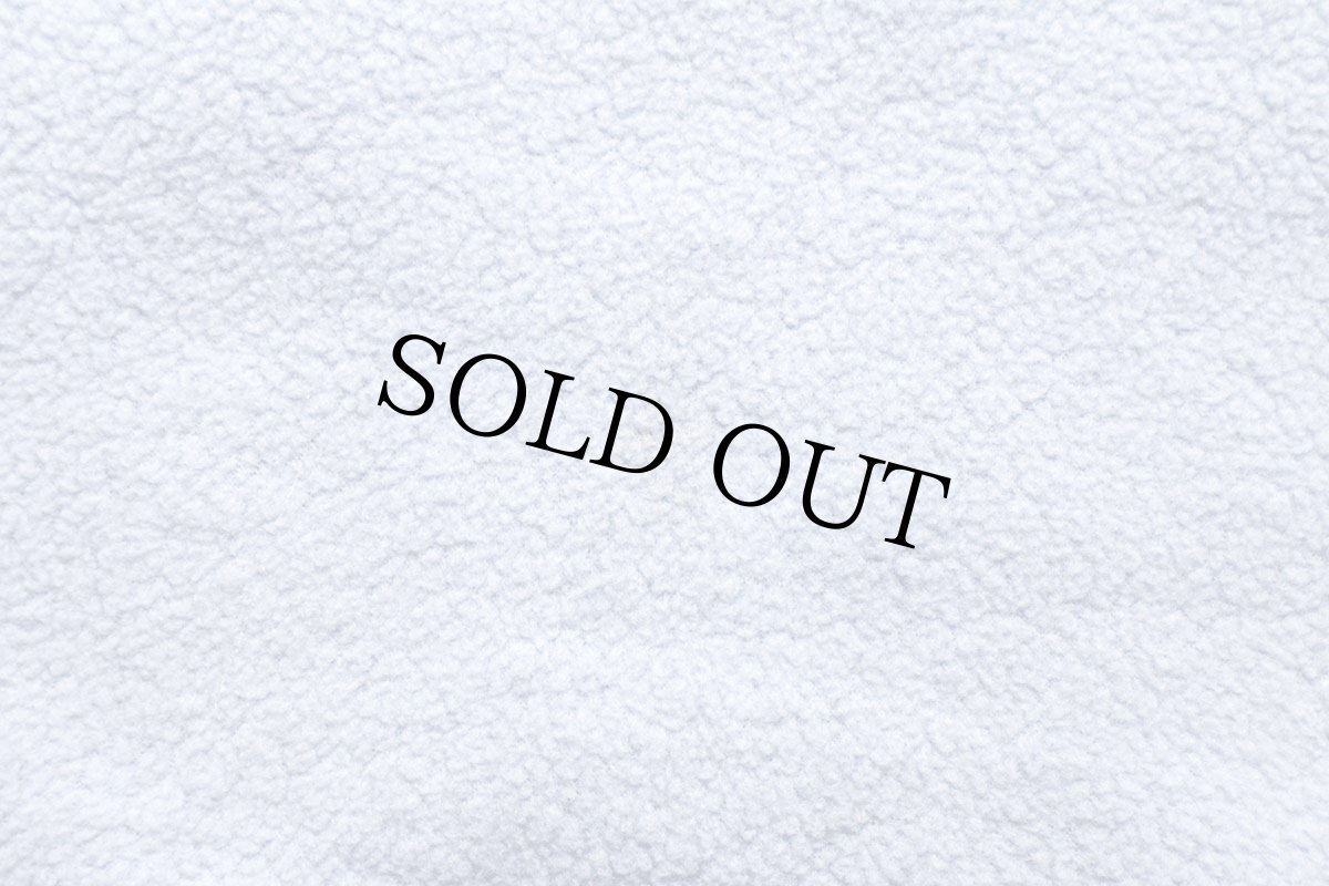 画像7: 00s メキシコ製 patagoniaパタゴニア マースピアル ハーフジップ シンチラ フリース 水色 S (7)