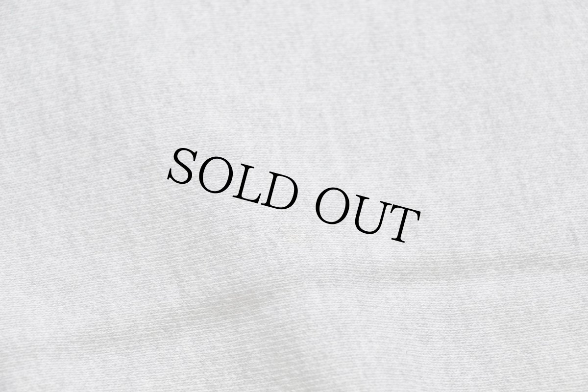 画像5: 00s Championチャンピオン 無地 目無し リバースウィーブ スウェット 杢グレー L★ブランク ブックストア (5)