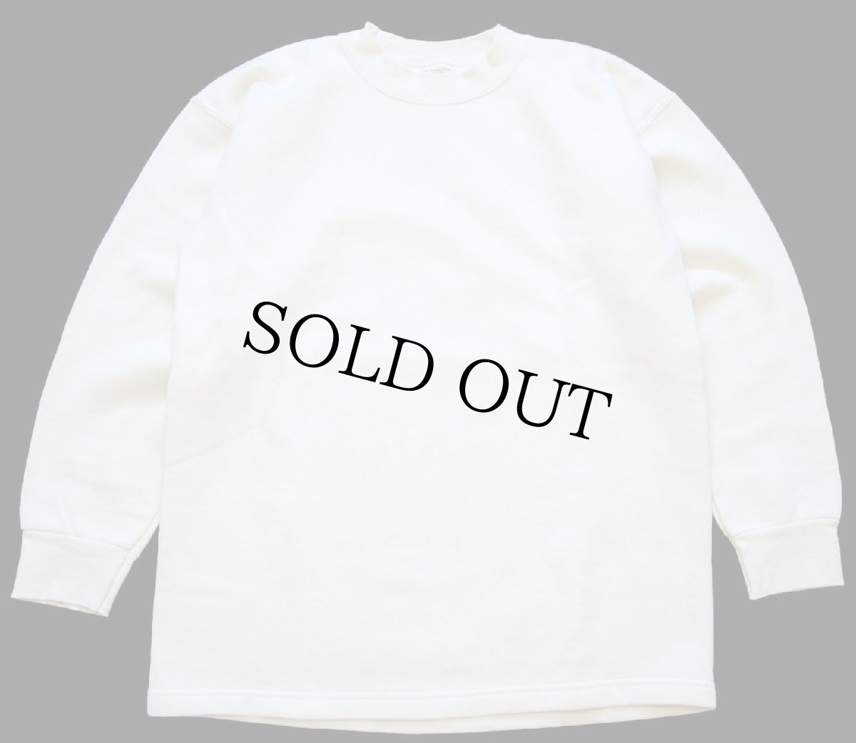 画像2: 90s USA製 patagoniaパタゴニア Beneficial T's 無地 オーガニックコットン スウェット 生成り S★ブランク (2)