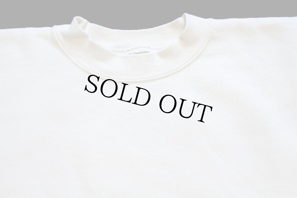 画像4: 90s USA製 patagoniaパタゴニア Beneficial T's 無地 オーガニックコットン スウェット 生成り S★ブランク (4)