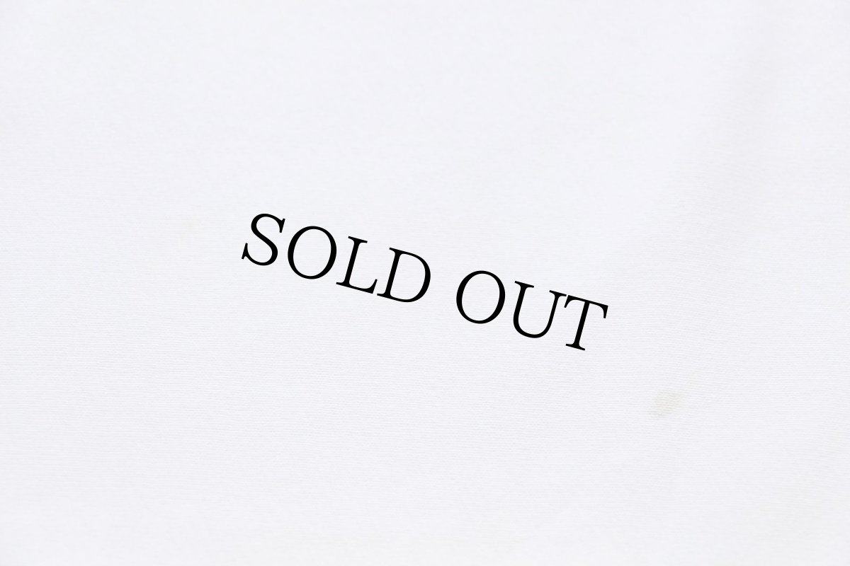 画像6: 90s USA製 ALPHA SIGMA ALPHA フラタニティ 四段中抜き ペンキ飛び カットオフ リバースウィーブ スウェット ボロ 白 XL (6)