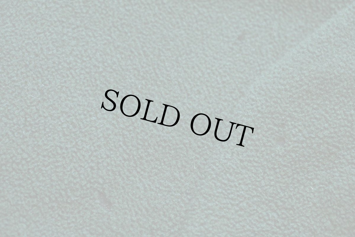 画像6: patagoniaパタゴニア Simple Synchilla Jacket シンプル シンチラ フリースジャケット FGN M (6)