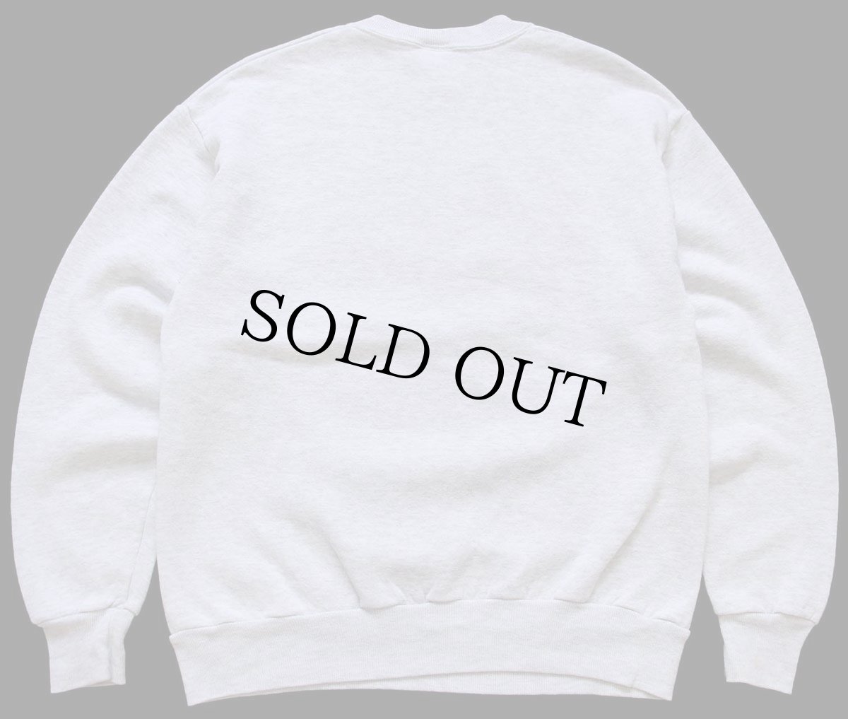 画像2: 90s USA製 DISNEYディズニー PIXAR a bug's life Flik バグズライフ フリック スウェット 杢ライトグレー M (2)