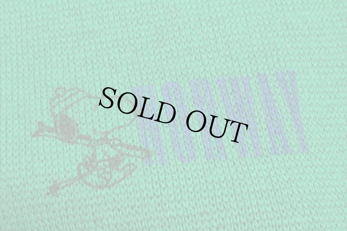 画像3: 90s イタリア製 SNOOPY スヌーピー NORWAY スキー アクリル×ウール マフラー 緑 (3)