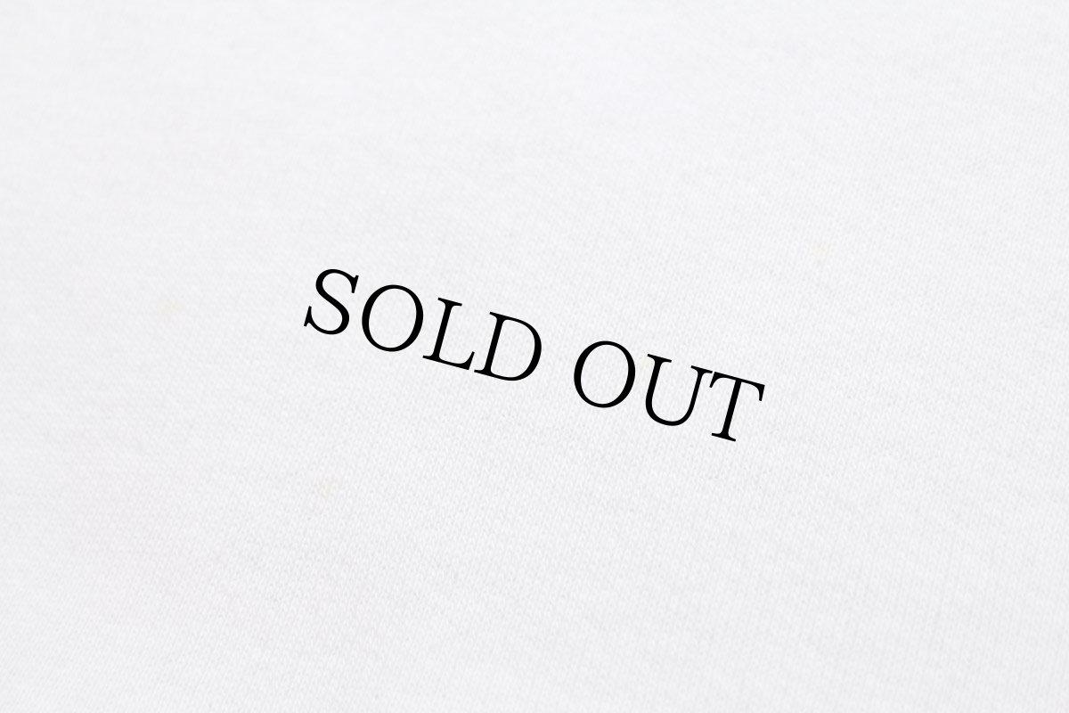 画像5: 80s USA製 RUSSELLラッセル KENTUCKY スウェット 白 M (5)