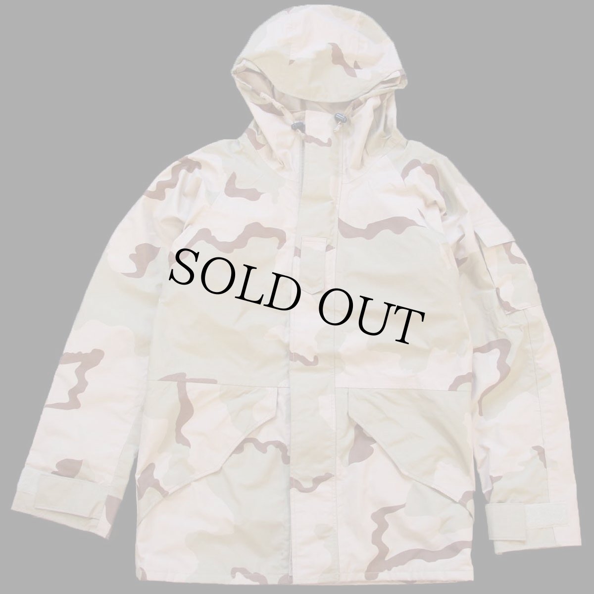 画像1: 00s 米軍 U.S.ARMY ECWCS GEN1 デザートカモ GORE-TEX ゴアテックスパーカー S-L (1)