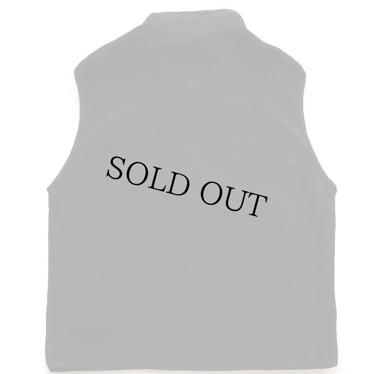 画像2: 00s patagoniaパタゴニア ロゴ刺繍 シンチラ フリースベスト 黒 L (2)