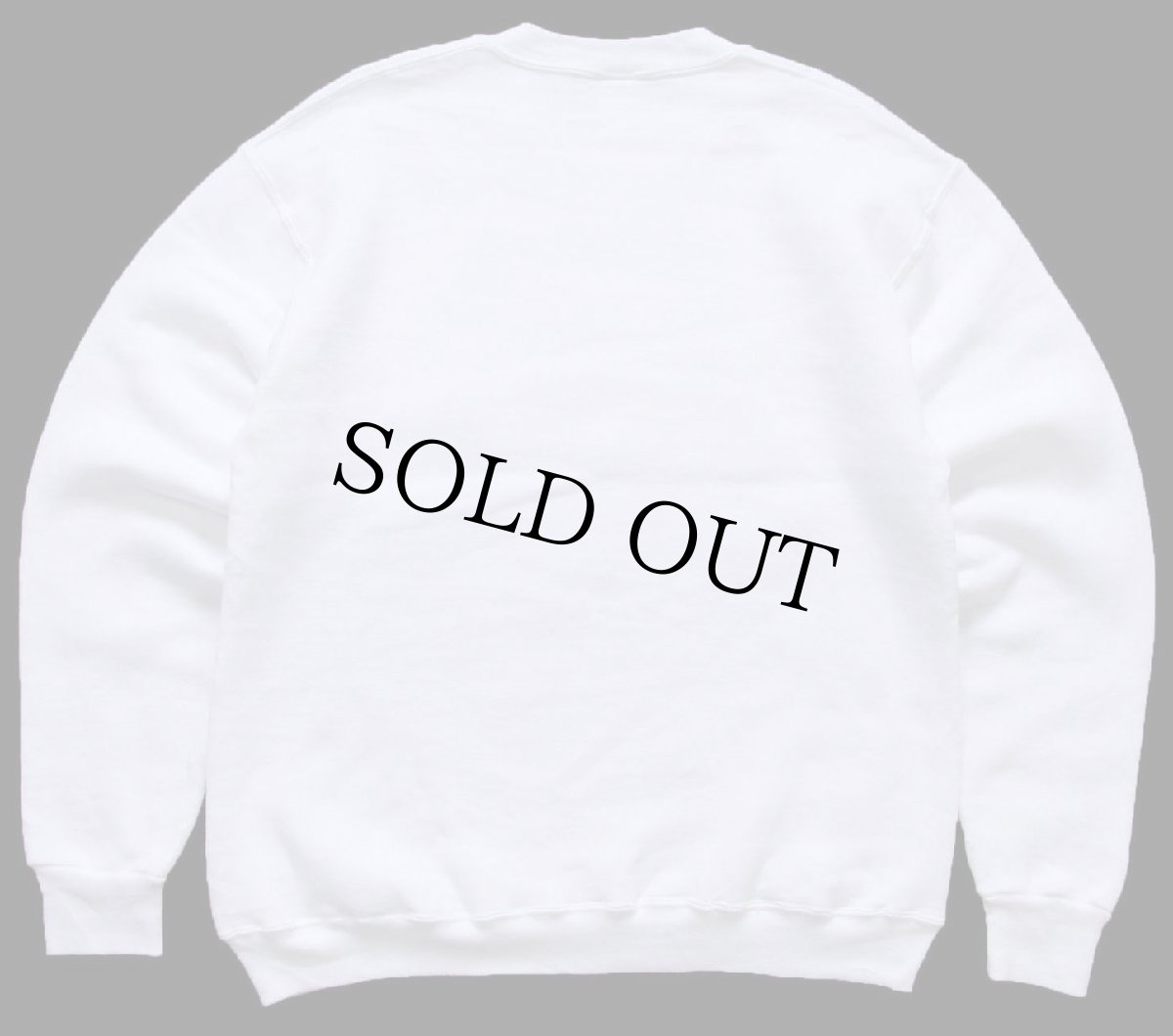 画像2: 80s USA製 RUSSELLラッセル VIRGINIA 前V スウェット 白 M (2)