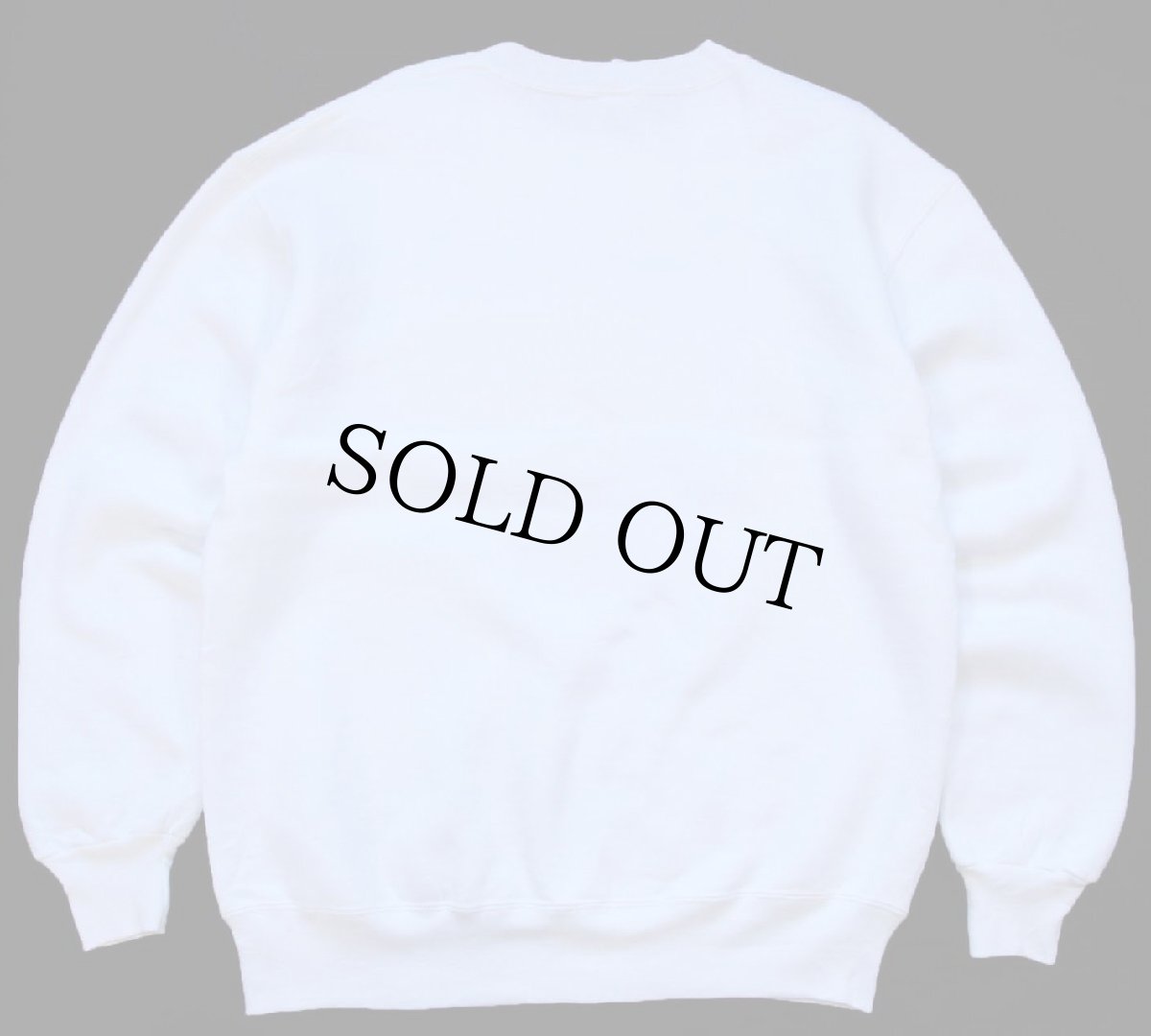 画像2: 90s USA製 RUSSELLラッセル あん馬 エアブラシ アート 前V スウェット 白 L (2)