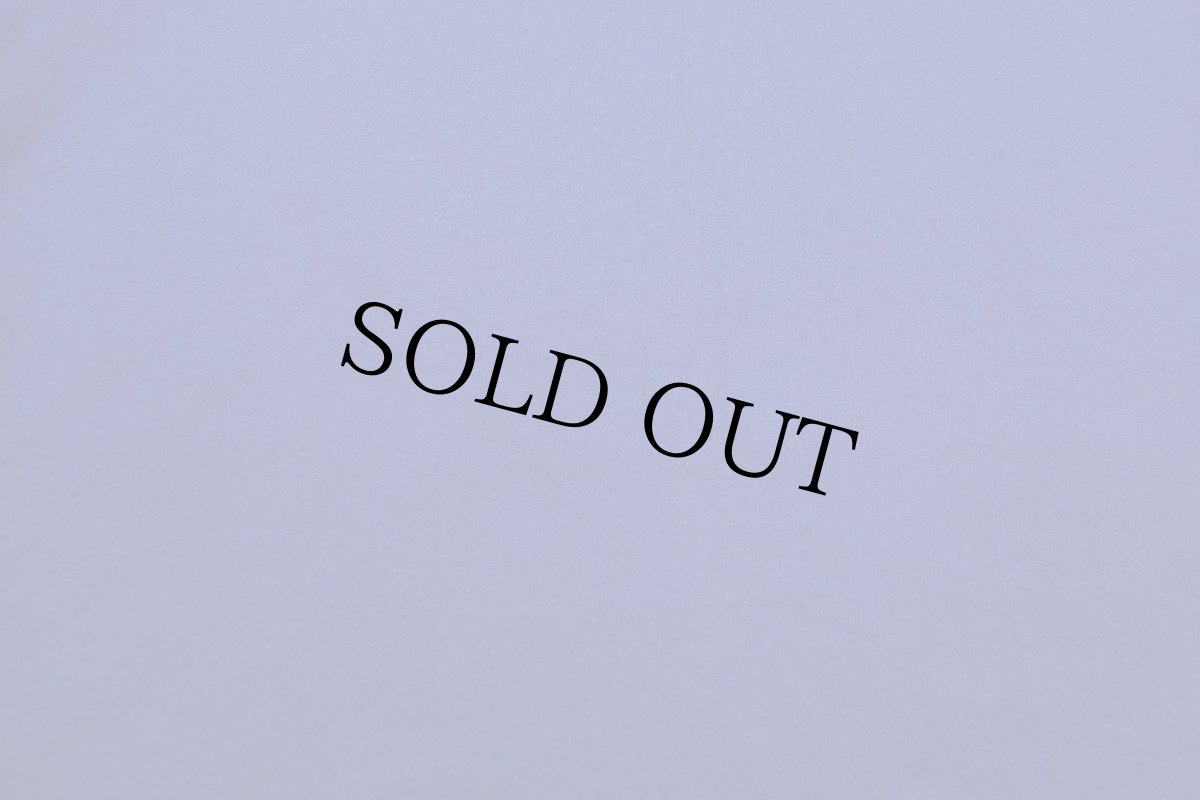 画像6: 90s USA製 RUSSELLラッセル 無地 前V スウェット 青 L★ブランク (6)