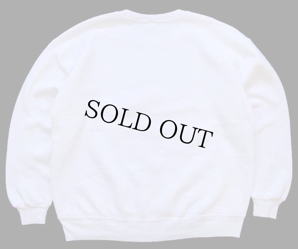 画像2: 90s USA製 RUSSELLラッセル TENNESSEE 前V スウェット 白 XXL★特大 (2)