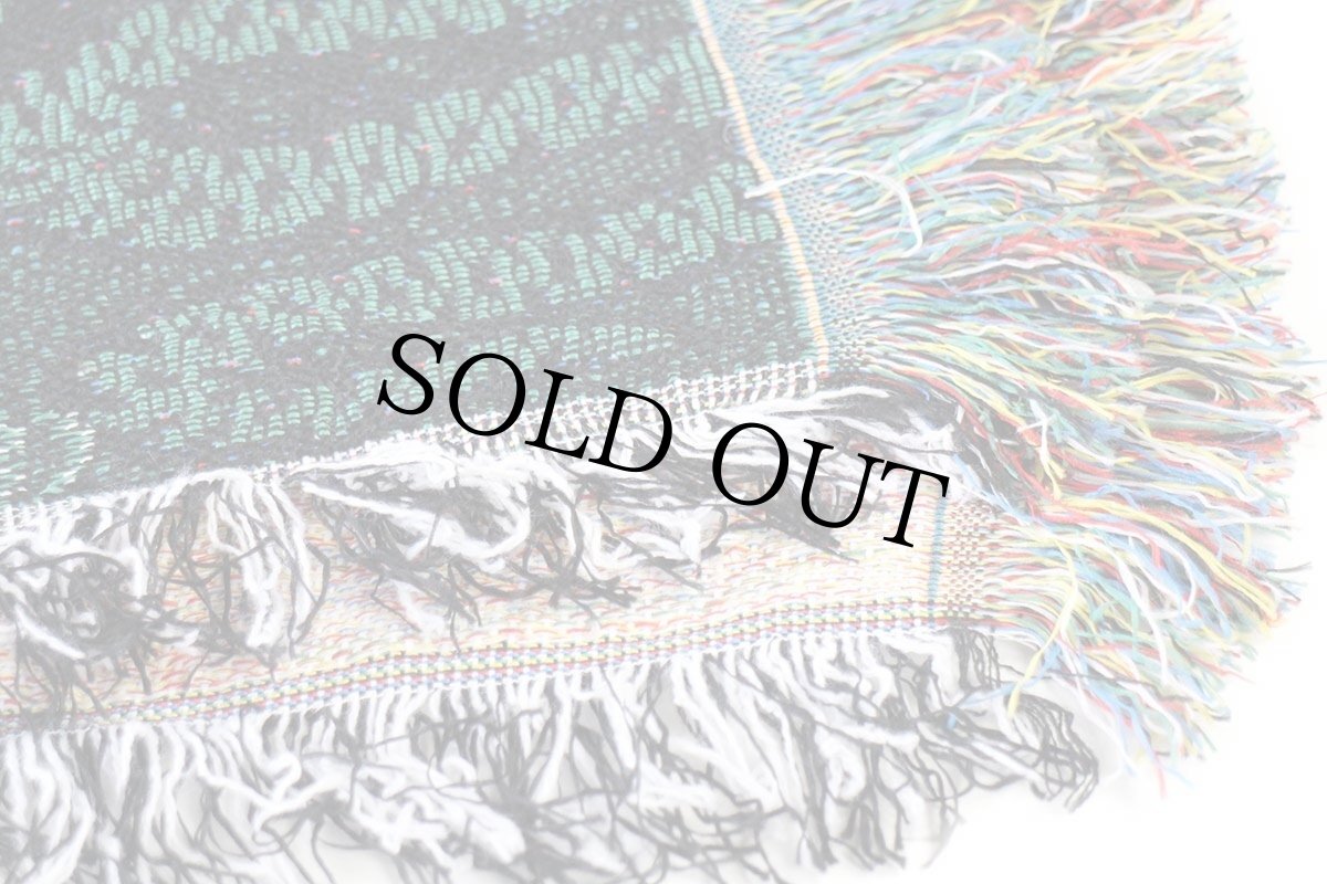 画像7: Harry Potterハリーポッター SLYTHERIN エンブレム アクリル ラグ (7)