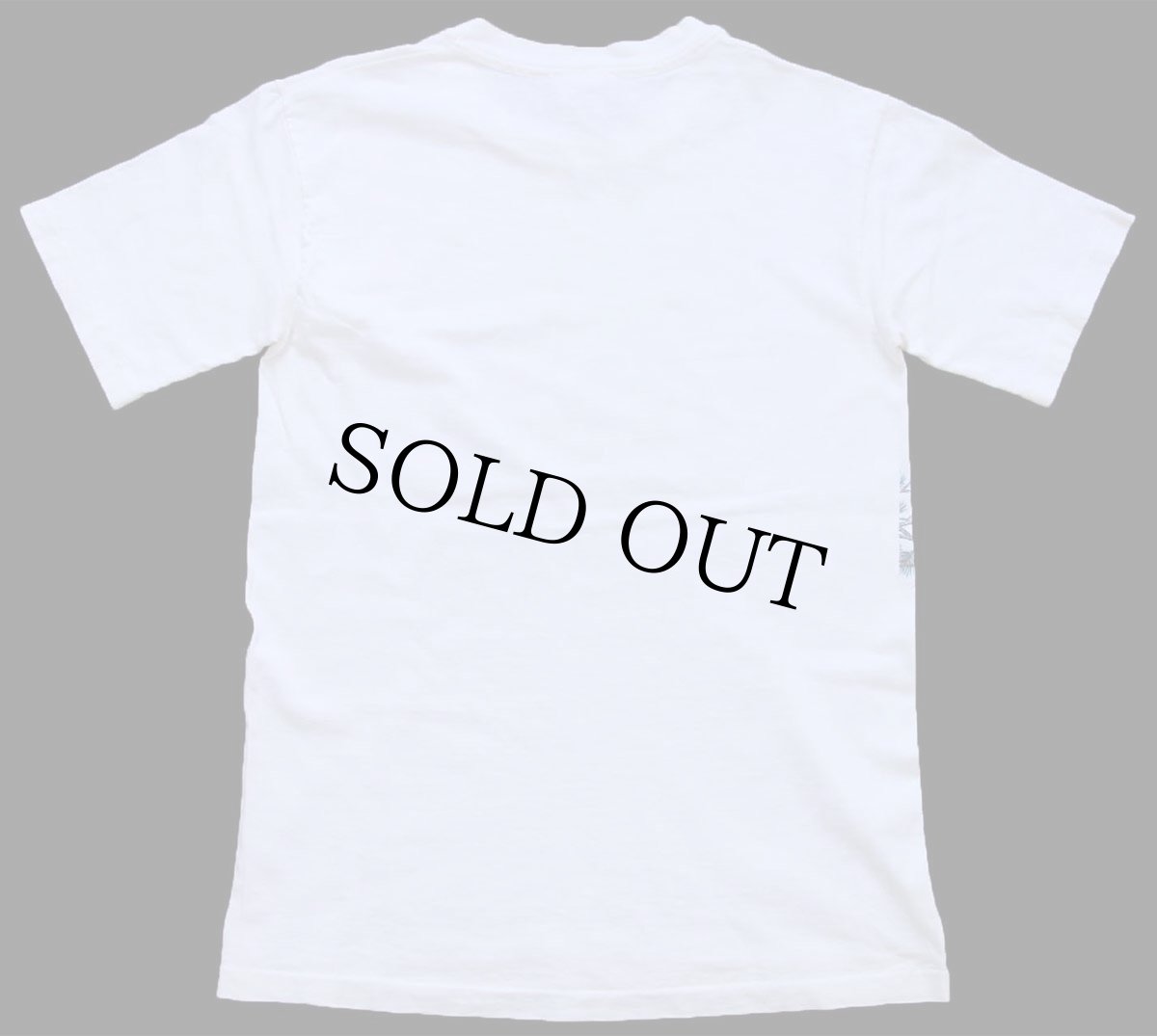 画像3: 90s USA製 MT.RUSHMORE アート コットンTシャツ 白 S (3)