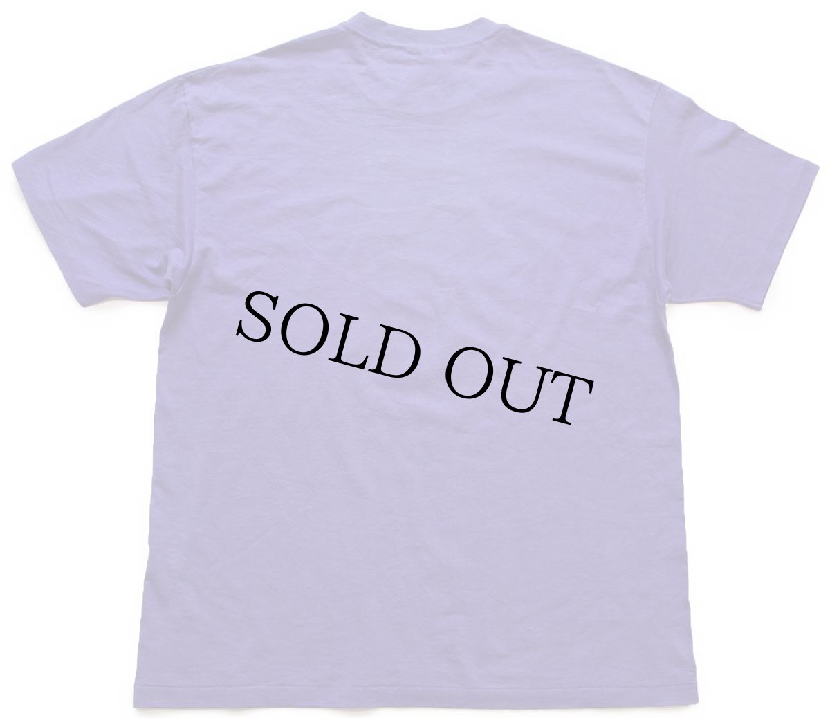 画像3: 90s USA製 Hanes Utah サボテン ネイティブ柄 アート Tシャツ 紫 XL (3)