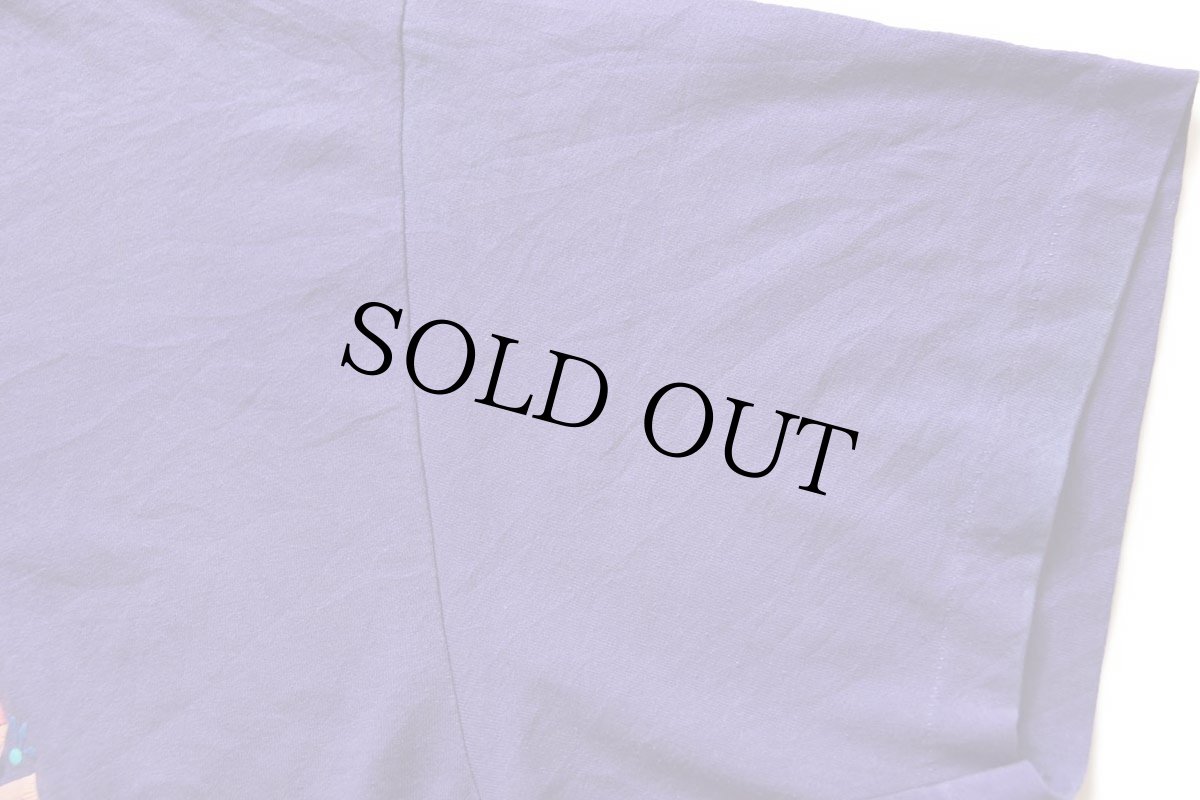 画像6: 90s USA製 Hanes Utah サボテン ネイティブ柄 アート Tシャツ 紫 XL (6)