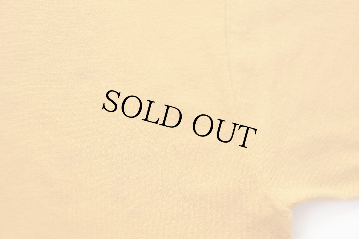 画像6: 90s USA製 WESTSIDE FAMILY YMCA OMAHA INDIAN PRINCESSES インディアン Tシャツ 濃黄 XL (6)