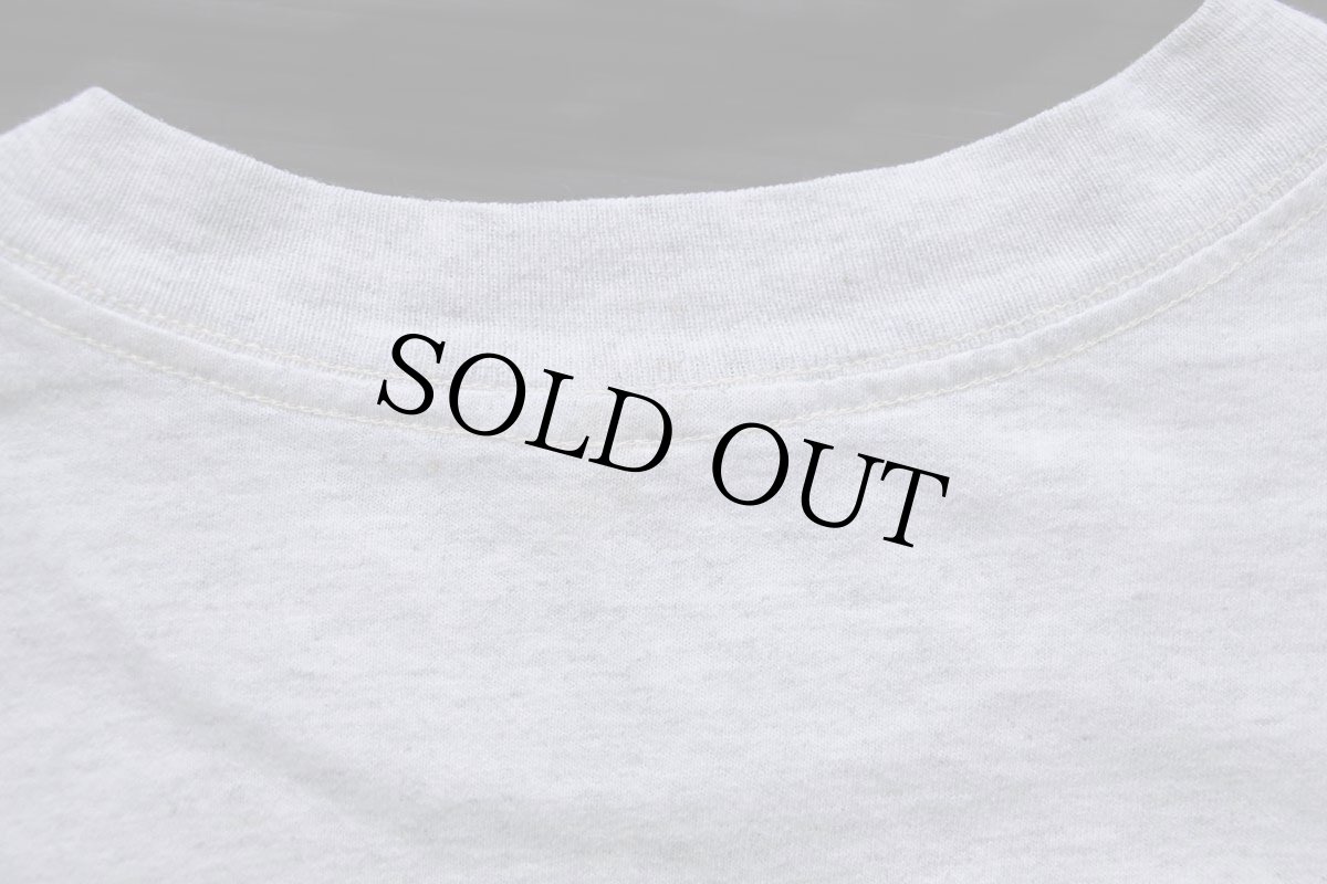 画像6: 90s USA製 Oregon Coast LIGHTHOUSES 灯台 アート コットンTシャツ オートミール L (6)