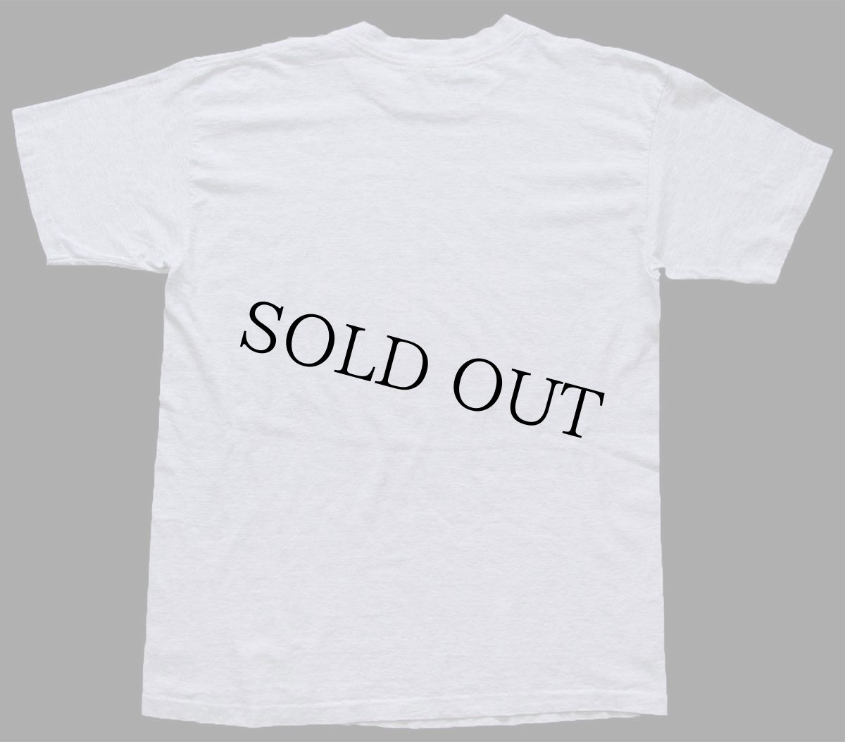 画像3: 90s USA製 Oregon Coast LIGHTHOUSES 灯台 アート コットンTシャツ オートミール L (3)