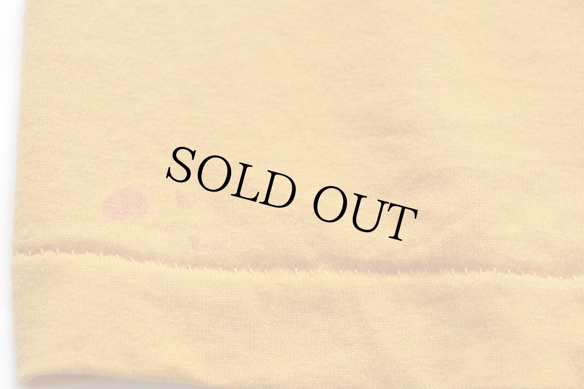 画像7: 90s USA製 WESTSIDE FAMILY YMCA OMAHA INDIAN PRINCESSES インディアン Tシャツ 濃黄 XL (7)