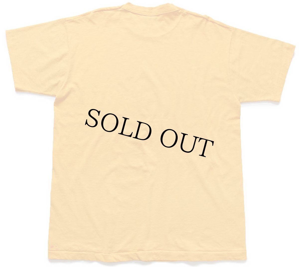 画像3: 90s USA製 WESTSIDE FAMILY YMCA OMAHA INDIAN PRINCESSES インディアン Tシャツ 濃黄 XL (3)