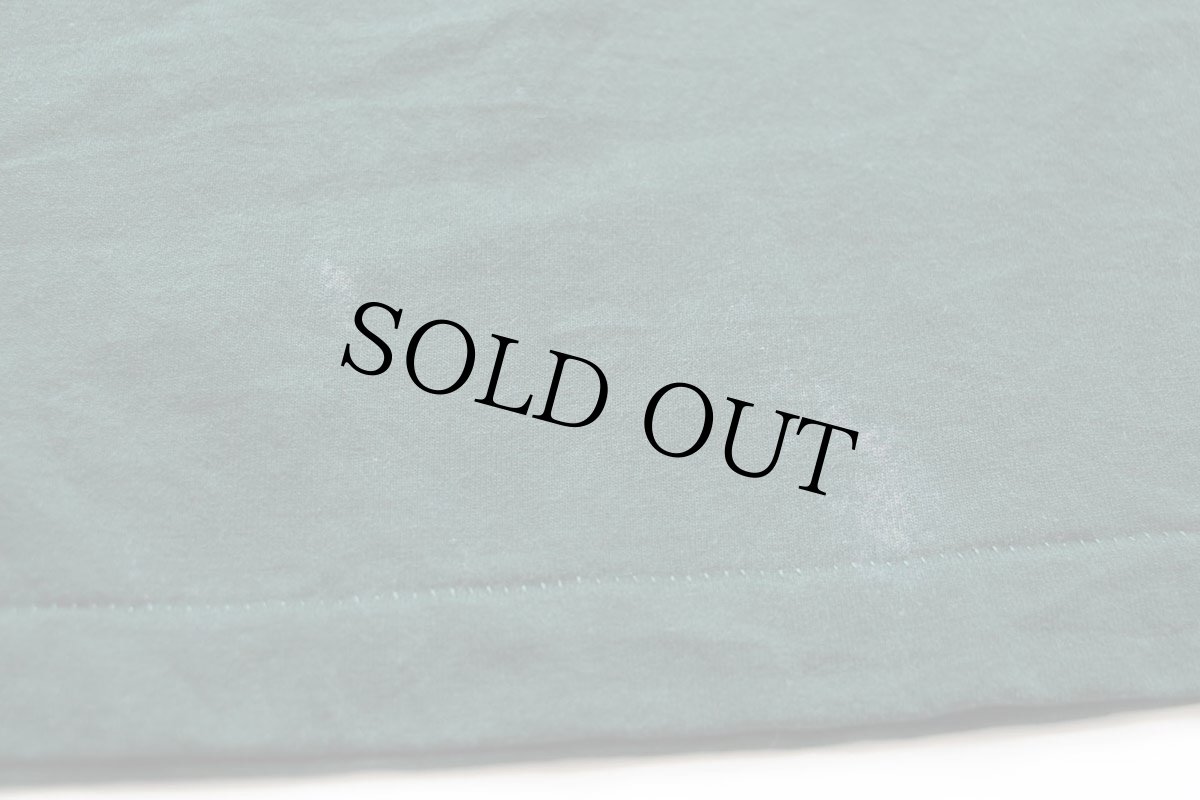 画像6: 90s USA製 PIONEER Hi-Bred コーン Tシャツ 緑 XL (6)