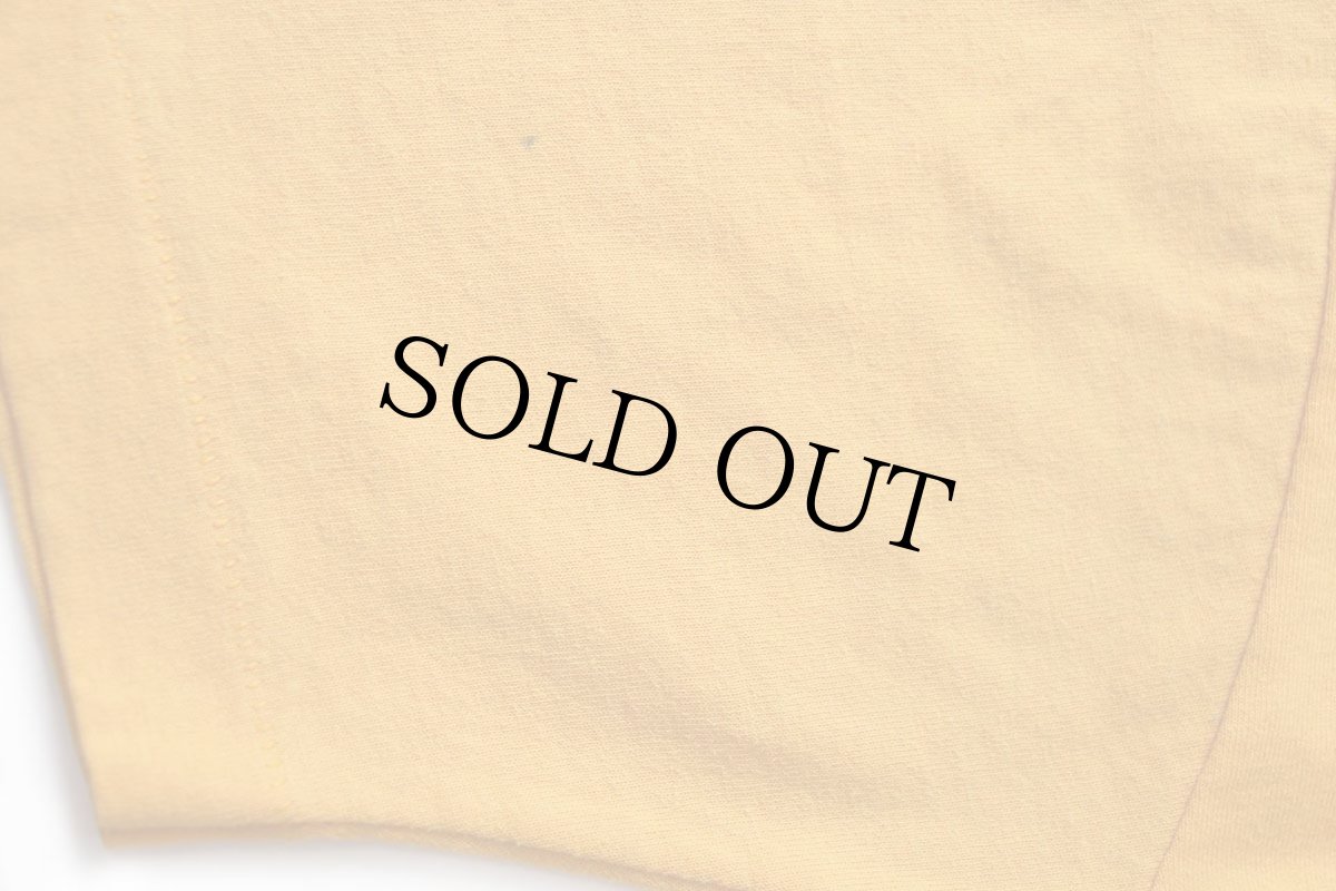 画像5: 90s USA製 WESTSIDE FAMILY YMCA OMAHA INDIAN PRINCESSES インディアン Tシャツ 濃黄 XL (5)