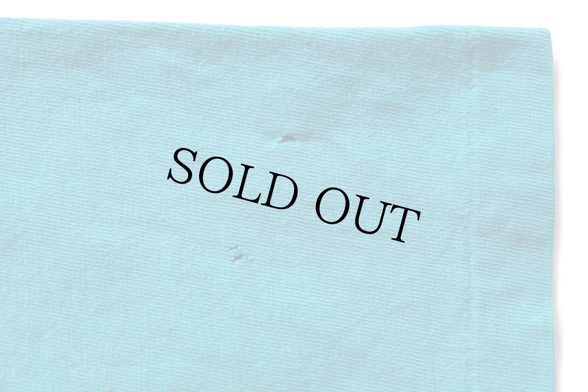 画像7: 90s USA製 Hanes Glacier Park フラワー アート 両面プリント コットンTシャツ エメラルドグリーン L★国立公園 (7)