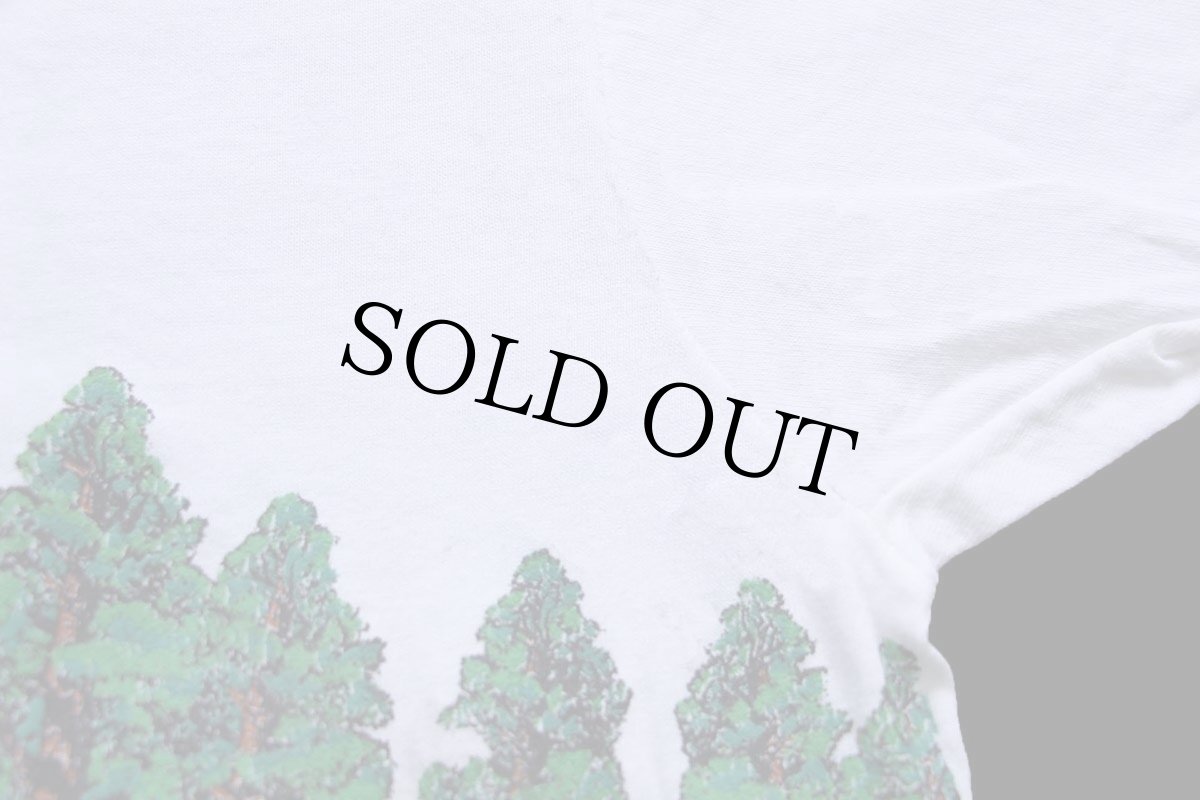 画像6: 90s USA製 WASHINGTON 森林 アート 両面プリント コットンTシャツ 白 L (6)