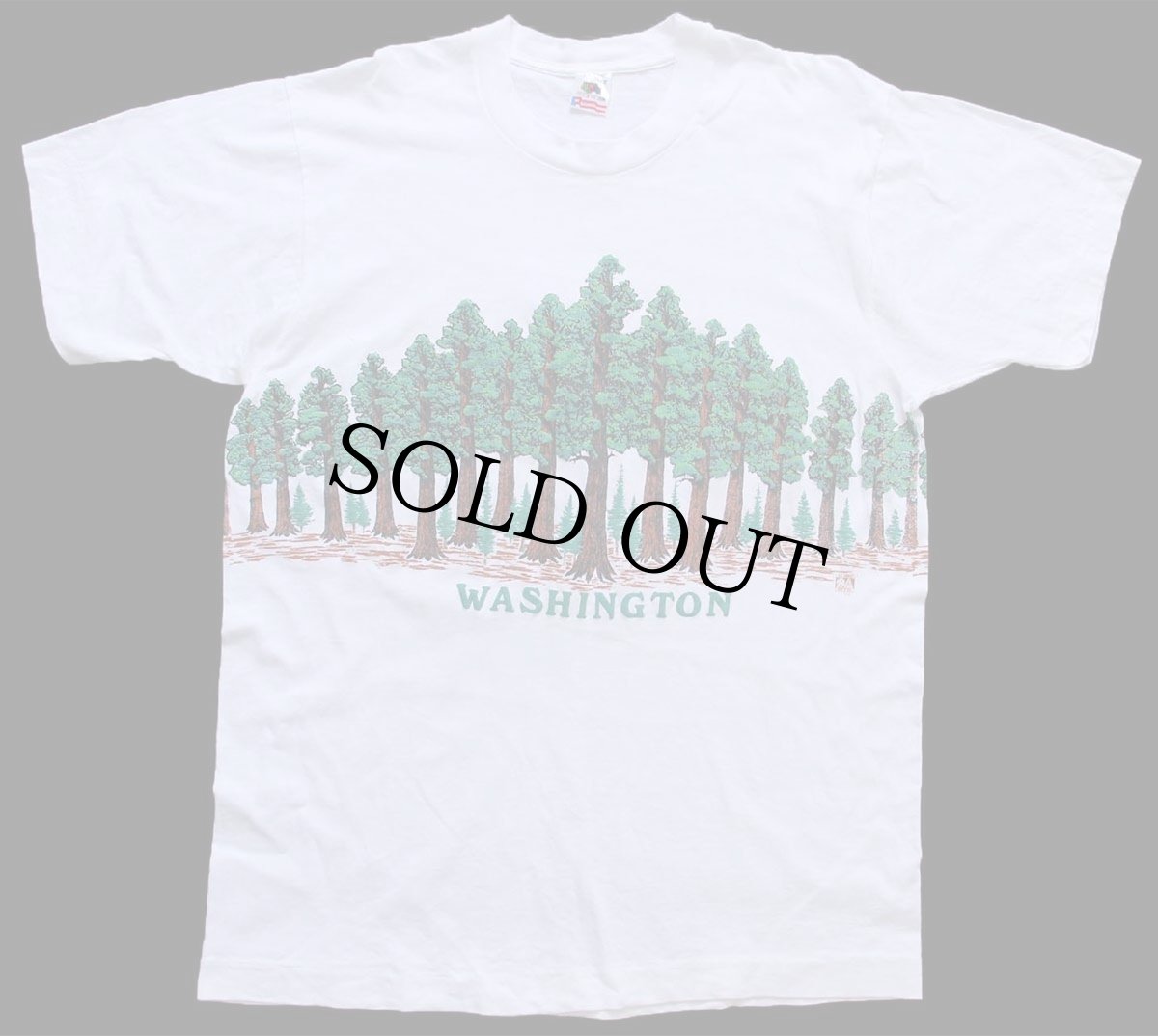 画像2: 90s USA製 WASHINGTON 森林 アート 両面プリント コットンTシャツ 白 L (2)