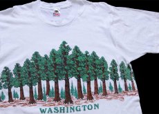 画像1: 90s USA製 WASHINGTON 森林 アート 両面プリント コットンTシャツ 白 L (1)
