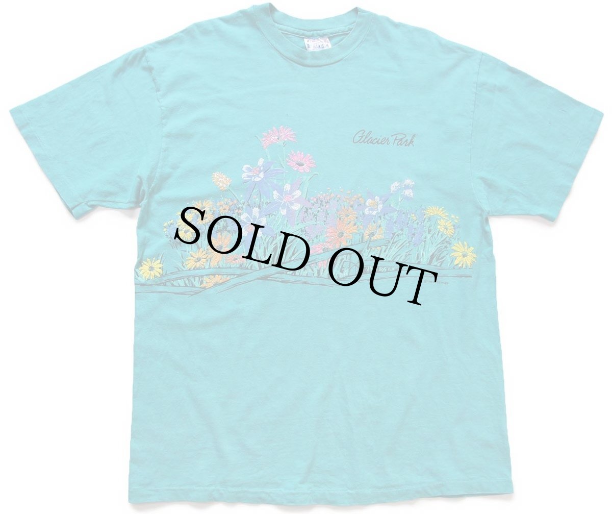 画像2: 90s USA製 Hanes Glacier Park フラワー アート 両面プリント コットンTシャツ エメラルドグリーン L★国立公園 (2)