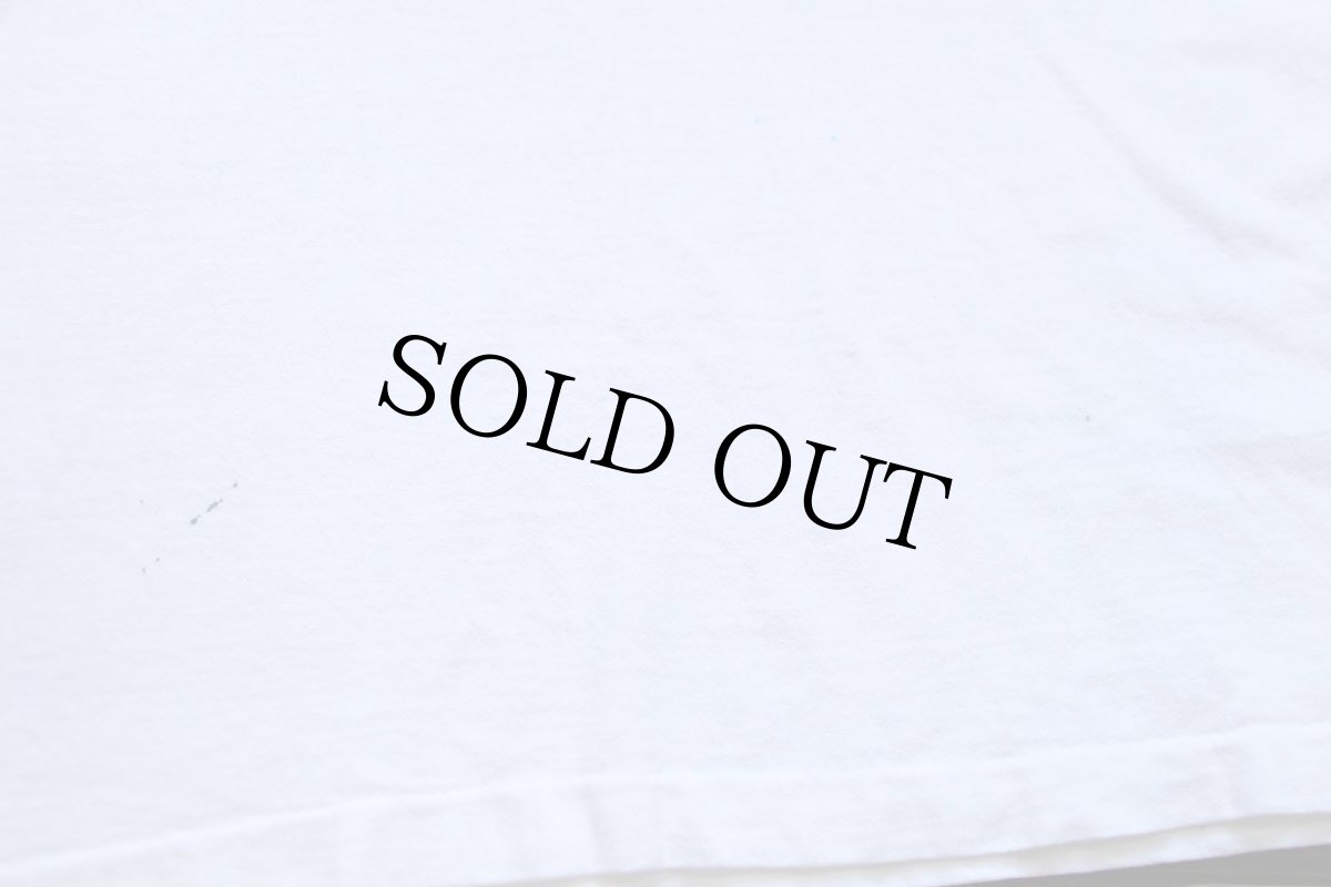 画像6: 90s カナダ製 GEORGE STREET ARTVARKS アンティーク アートフレーム 両面プリント コットンTシャツ 白 XL (6)