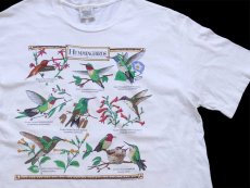 画像1: 90s USA製 HUMMINGBIRDS ハチドリ アート 染み込みプリント コットンTシャツ 白 L (1)