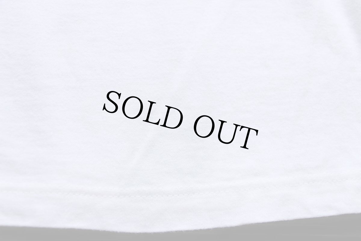 画像7: 90s USA製 HUMMINGBIRDS ハチドリ アート 染み込みプリント コットンTシャツ 白 L (7)