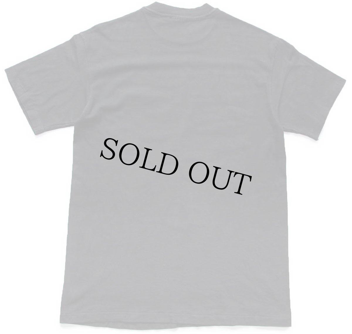 画像3: 90s USA製 Hanes FUCHSIAS & HUMMINGBIRDS フクシア ハチドリ アート コットンTシャツ 黒 M (3)