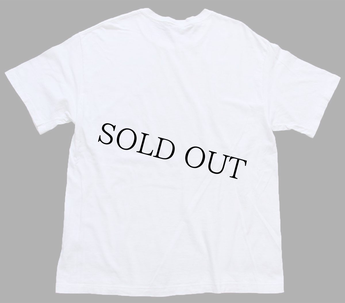 画像3: 90s USA製 HUMMINGBIRDS ハチドリ アート 染み込みプリント コットンTシャツ 白 L (3)