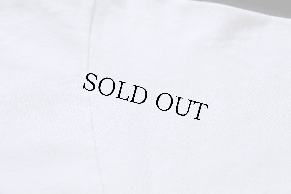 画像6: 90s USA製 HUMMINGBIRDS ハチドリ アート 染み込みプリント コットンTシャツ 白 L (6)