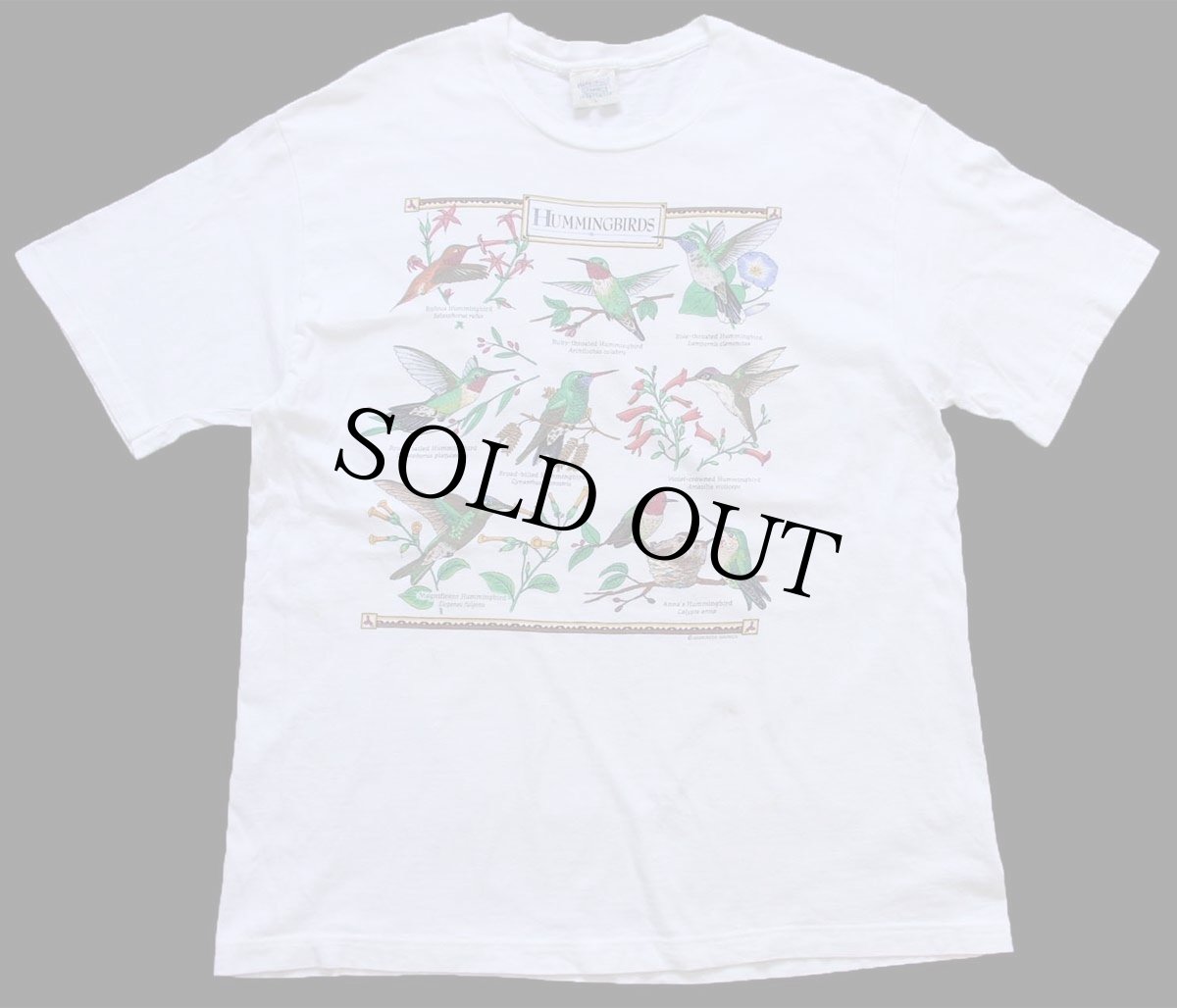 画像2: 90s USA製 HUMMINGBIRDS ハチドリ アート 染み込みプリント コットンTシャツ 白 L (2)