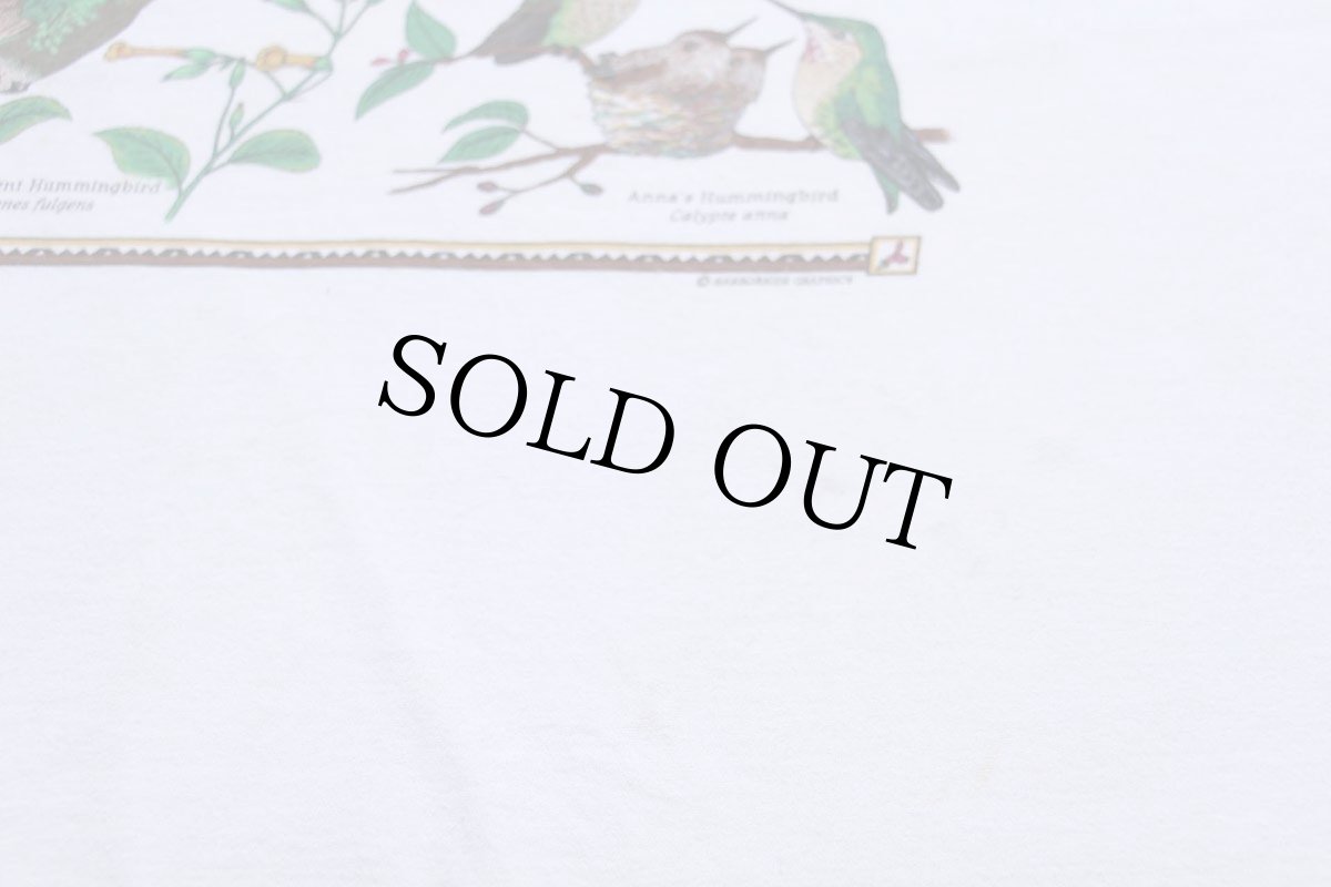 画像5: 90s USA製 HUMMINGBIRDS ハチドリ アート 染み込みプリント コットンTシャツ 白 L (5)