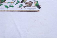 画像5: 90s USA製 HUMMINGBIRDS ハチドリ アート 染み込みプリント コットンTシャツ 白 L (5)