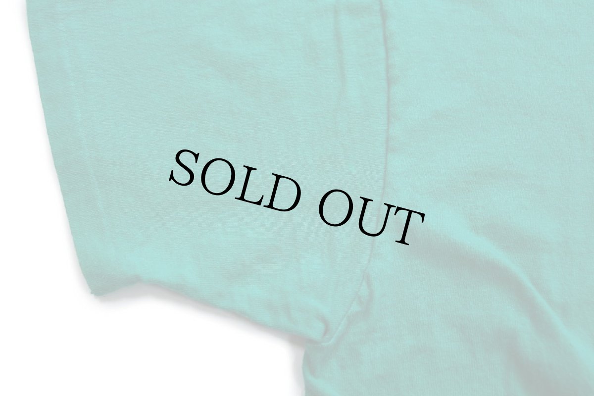 画像6: 80s USA製 Hanes Malibu Garden Center & Feed 両面プリント コットンTシャツ 緑 L (6)